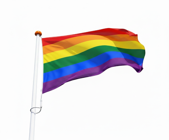 Regenboog vlag