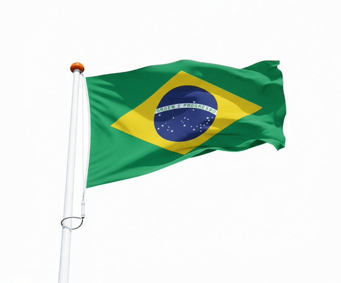 Vlag Brazilië