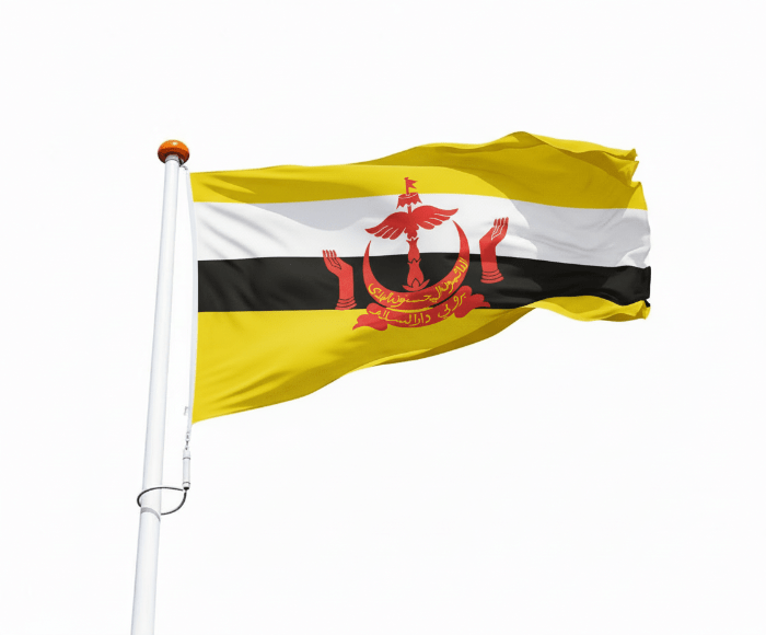 Vlag Brunei