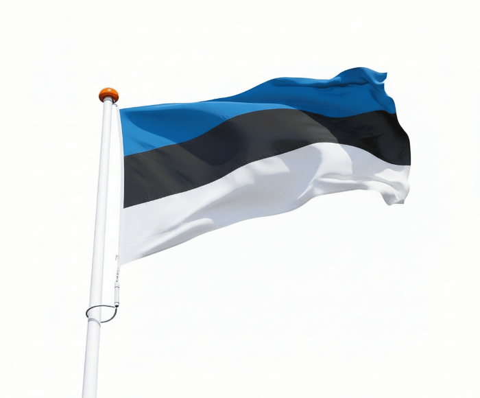 Vlag Estland