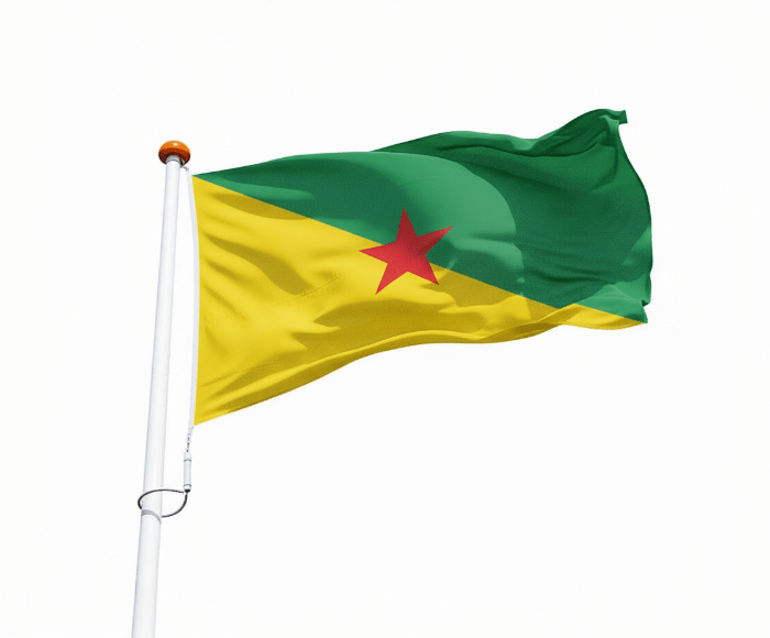 Vlag Frans-Guyana