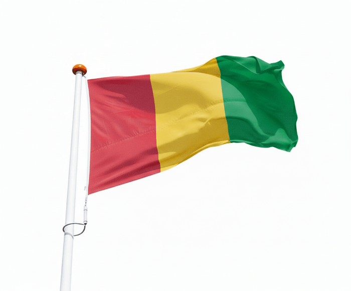 Vlag Guinee