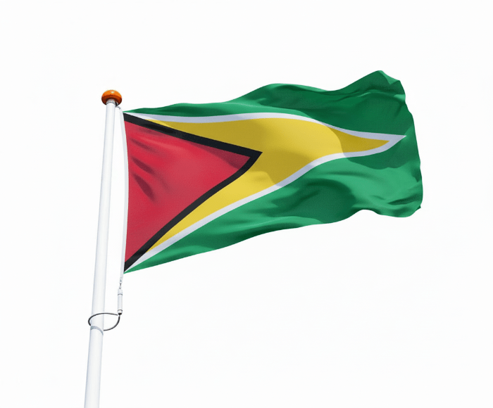 Vlag Guyana