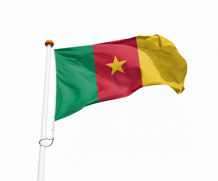 Vlag Kameroen