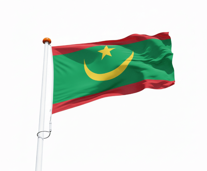 Vlag Mauritanië