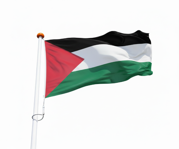 Vlag Palestina