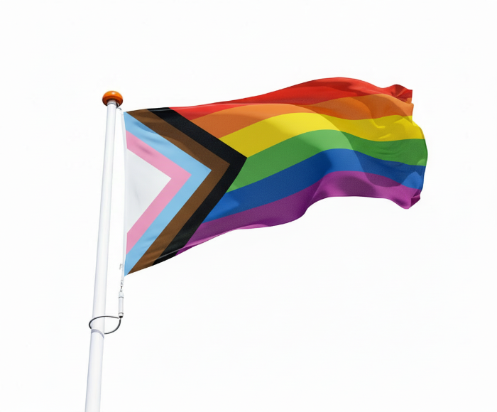 Progress Pride vlag