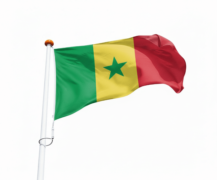 Vlag Senegal