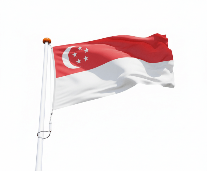 Vlag Singapore