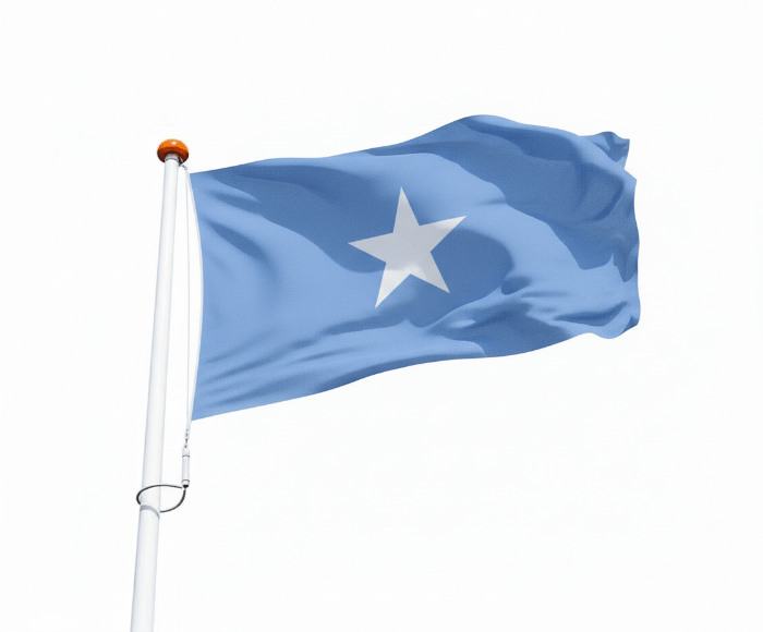 Vlag Somalië