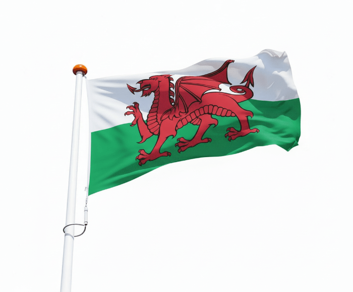 Vlag Wales